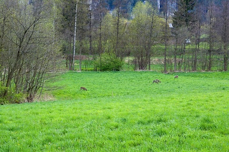 Adršpach
