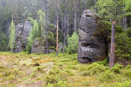 Vlčí rokle