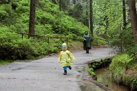 Adršpašské skály