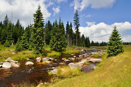 řeka Jizera