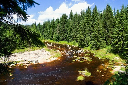 řeka Jizera