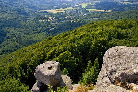Paličník
