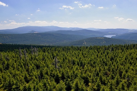 vrchol Jizery