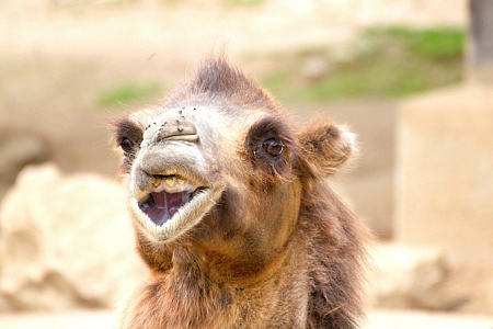 ZOO Liberec