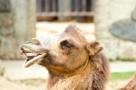 ZOO Liberec