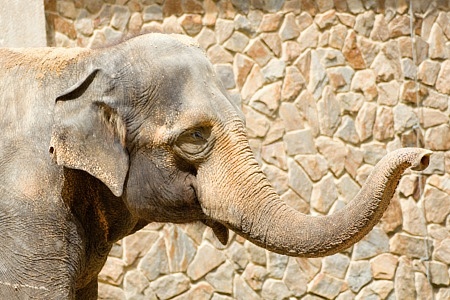 ZOO Liberec