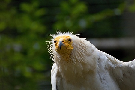 ZOO Liberec