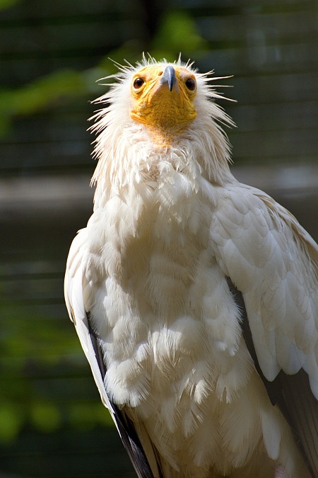 ZOO Liberec