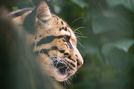 ZOO Liberec