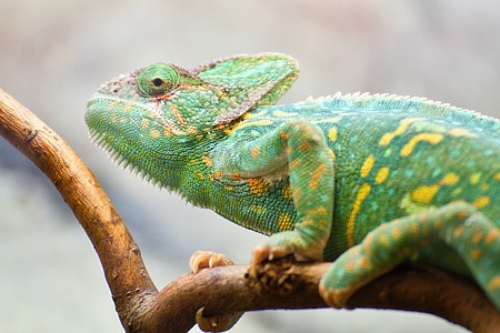 ZOO Liberec