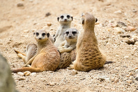 ZOO Liberec