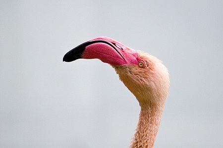 ZOO Liberec