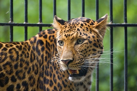 ZOO Liberec