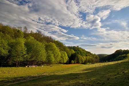 Český kras