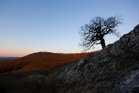 soutěska