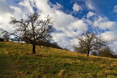 louka nad Překlášteřím