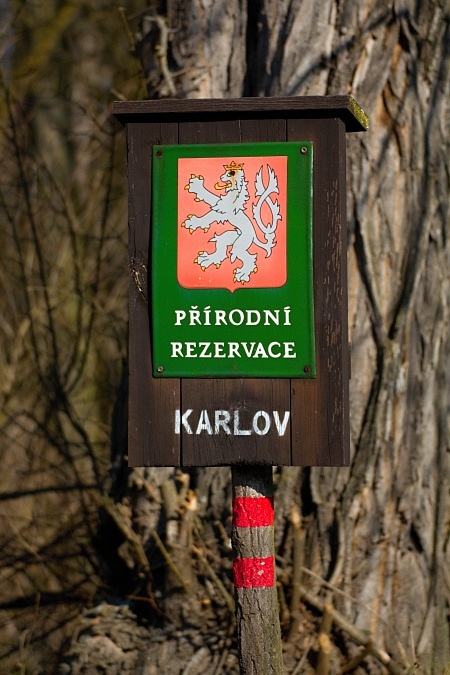 PR Karlov