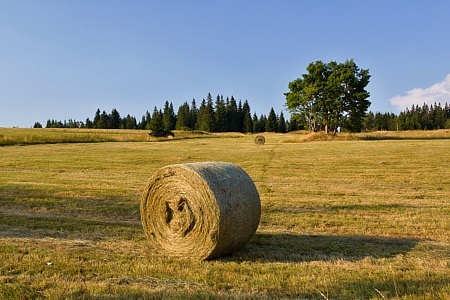 Zhůří