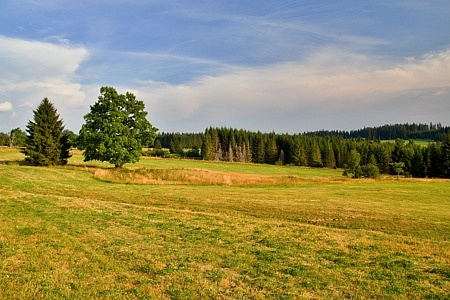 Zhůří