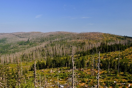 Hochstein