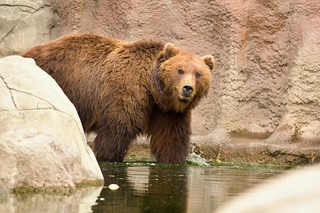 ZOO Brno