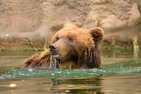 ZOO Brno