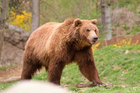 ZOO Brno