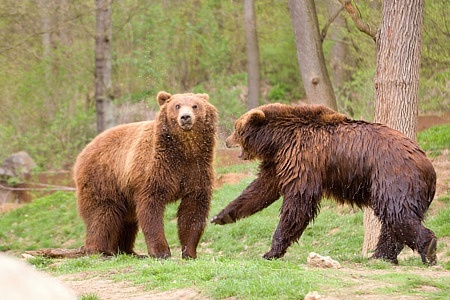 ZOO Brno