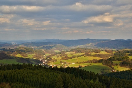 Vartovna