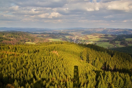 Vartovna