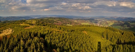 Vartovna