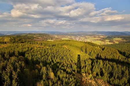 Vartovna