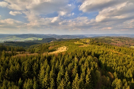 Vartovna