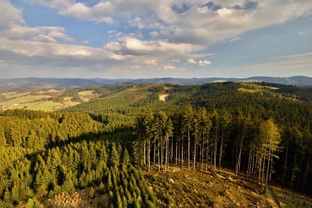 Vartovna