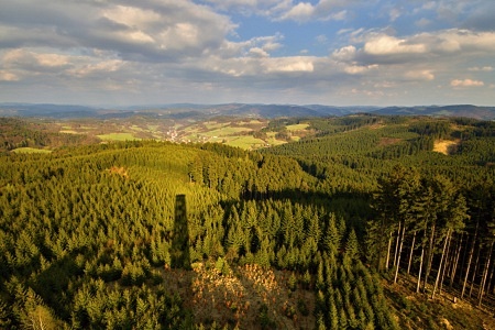 Vartovna