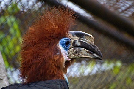 ZOO Lešná