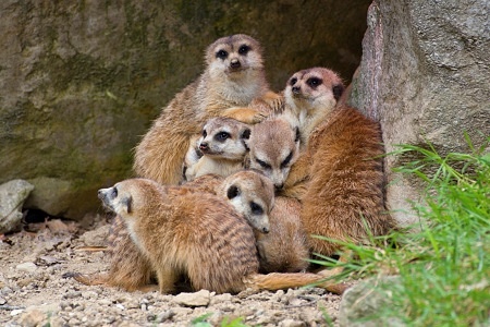 ZOO Lešná