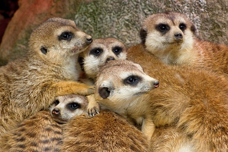 ZOO Lešná