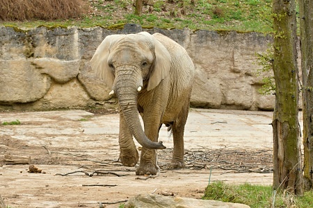 ZOO Lešná