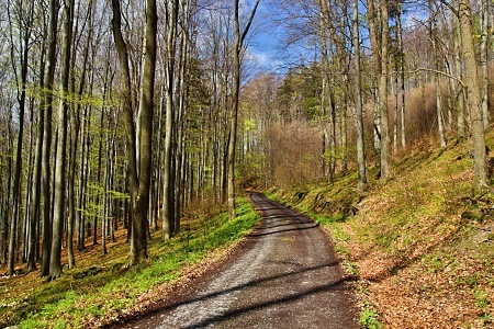 cestou na Kelčský Javorník