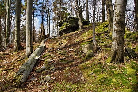 Jehelník