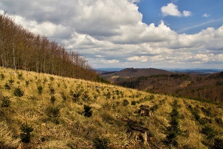 Kelčský Javorník