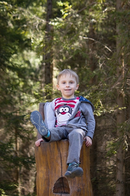 Naučná stezka ke Krtečkově studánce