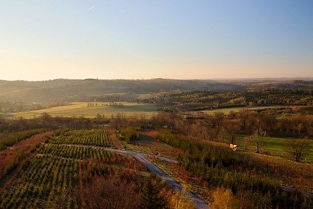 Rozhledna Na Skalce