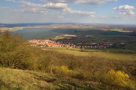 Pálava