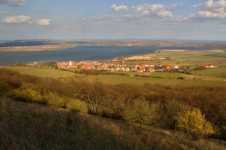 Pálava