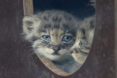 ZOO Brno
