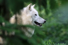 ZOO Brno